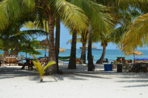 Palm Beach Bungalow Resort